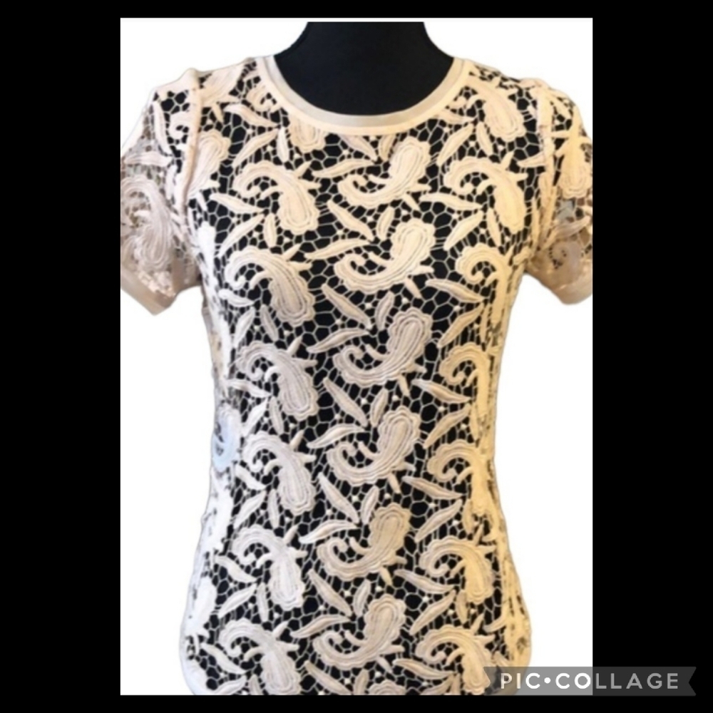 Loft lace blouse.20